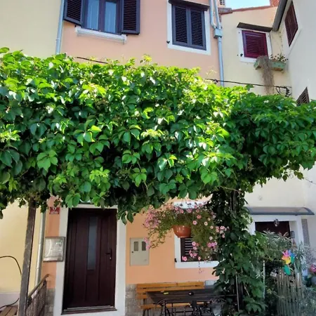 Appartamento Apartmaji Jurcan *